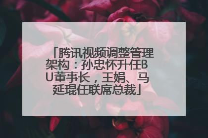 腾讯视频调整管理架构：孙忠怀升任BU董事长，王娟、马延琨任联席总裁