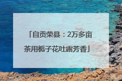 自贡荣县：2万多亩茶用栀子花吐露芳香