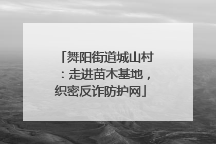 舞阳街道城山村：走进苗木基地，织密反诈防护网