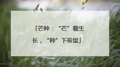 芒种：“芒”着生长，“种”下希望
