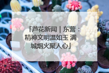 芦花新闻｜东营：精神文明温如玉 满城烟火聚人心