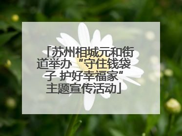 苏州相城元和街道举办“守住钱袋子 护好幸福家”主题宣传活动