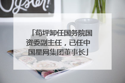 苟坪卸任国务院国资委副主任，已任中国星网集团董事长