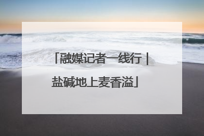 融媒记者一线行｜盐碱地上麦香溢