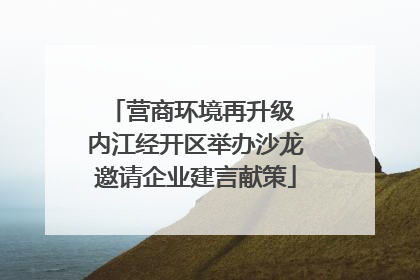 营商环境再升级 内江经开区举办沙龙邀请企业建言献策