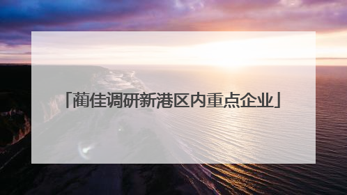 蔺佳调研新港区内重点企业
