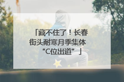 藏不住了！长春街头耐寒月季集体“C位出道”