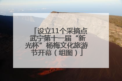 设立11个采摘点 武宁第十一届“新光杯”杨梅文化旅游节开幕（组图）