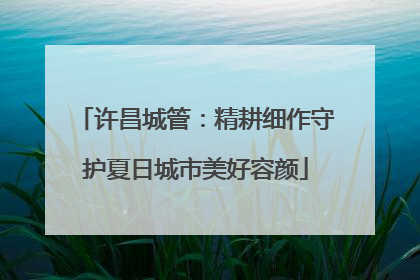 许昌城管：精耕细作守护夏日城市美好容颜