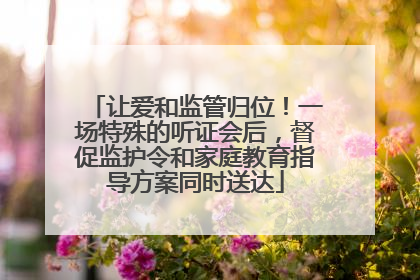让爱和监管归位！一场特殊的听证会后，督促监护令和家庭教育指导方案同时送达
