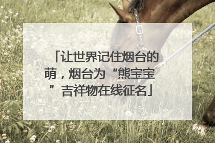 让世界记住烟台的萌，烟台为“熊宝宝”吉祥物在线征名