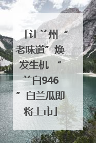 让兰州“老味道”焕发生机 “兰白946”白兰瓜即将上市