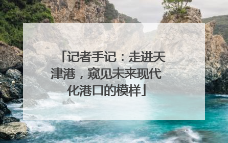 记者手记：走进天津港，窥见未来现代化港口的模样