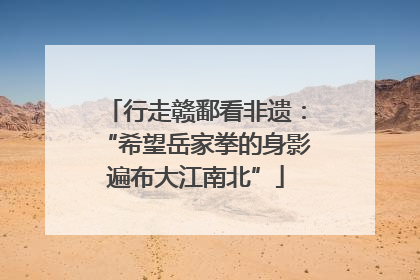 行走赣鄱看非遗：“希望岳家拳的身影遍布大江南北”