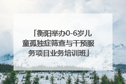 衡阳举办0-6岁儿童孤独症筛查与干预服务项目业务培训班