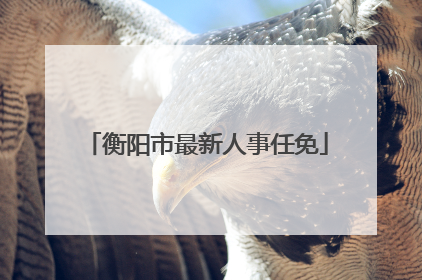 衡阳市最新人事任免