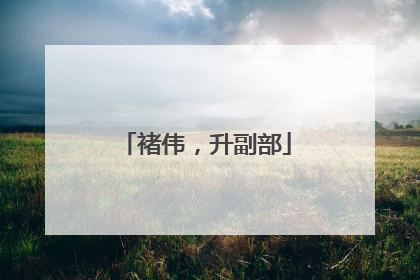 褚伟，升副部