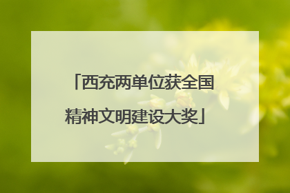 西充两单位获全国精神文明建设大奖