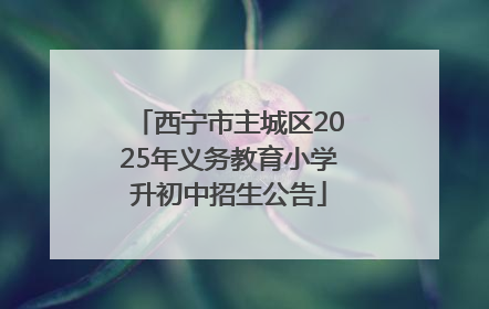 西宁市主城区2025年义务教育小学升初中招生公告