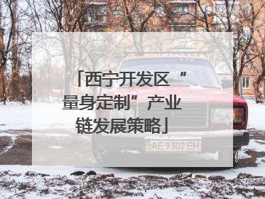 西宁开发区“量身定制”产业链发展策略