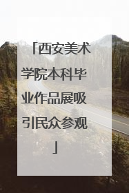 西安美术学院本科毕业作品展吸引民众参观