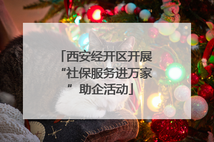 西安经开区开展“社保服务进万家”助企活动