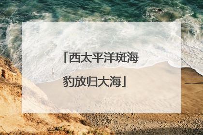 西太平洋斑海豹放归大海