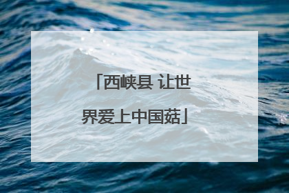 西峡县 让世界爱上中国菇