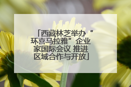 西藏林芝举办“环喜马拉雅”企业家国际会议 推进区域合作与开放