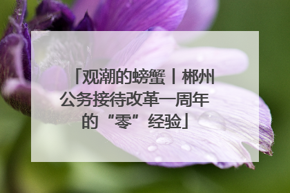 观潮的螃蟹丨郴州公务接待改革一周年的“零”经验