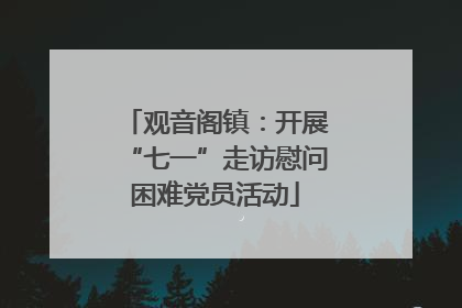 观音阁镇：开展“七一”走访慰问困难党员活动
