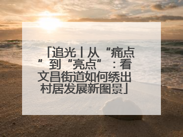 追光丨从“痛点”到“亮点”：看文昌街道如何绣出村居发展新图景