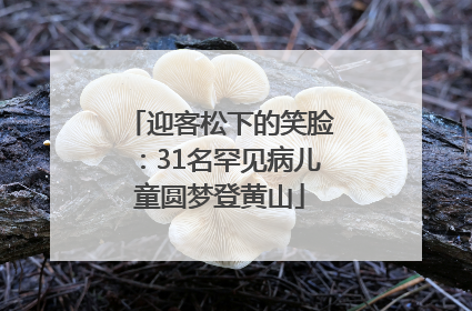 迎客松下的笑脸：31名罕见病儿童圆梦登黄山