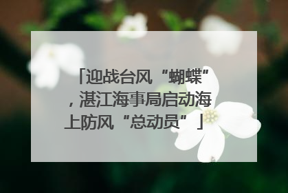 迎战台风“蝴蝶”，湛江海事局启动海上防风“总动员”
