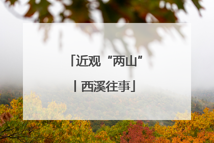 近观“两山”丨西溪往事