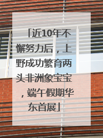 近10年不懈努力后，上野成功繁育两头非洲象宝宝，端午假期华东首展