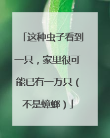 这种虫子看到一只，家里很可能已有一万只（不是蟑螂）