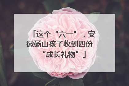 这个“六一”，安徽砀山孩子收到四份“成长礼物”