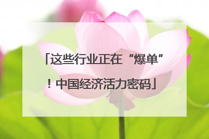 这些行业正在“爆单”！中国经济活力密码