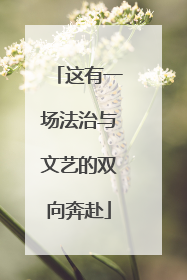 这有一场法治与文艺的双向奔赴