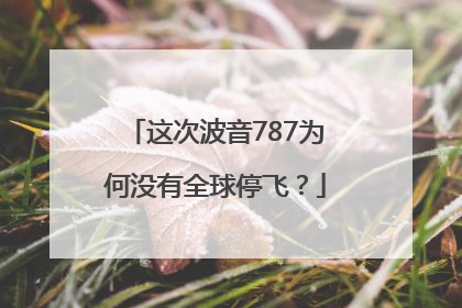 这次波音787为何没有全球停飞？