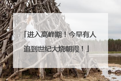 进入高峰期！今早有人追到世纪大烧朝霞！