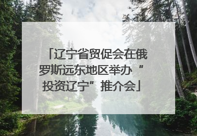 辽宁省贸促会在俄罗斯远东地区举办“投资辽宁”推介会