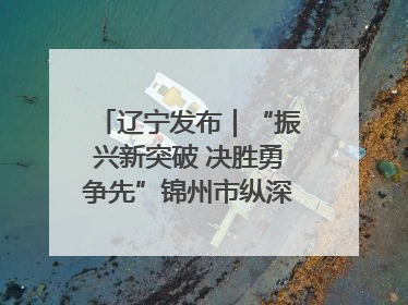 辽宁发布｜“振兴新突破 决胜勇争先”锦州市纵深推进区域中心城市建设 打造高质量发展新增长极