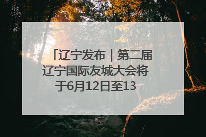 辽宁发布｜第二届辽宁国际友城大会将于6月12日至13日在沈阳举办