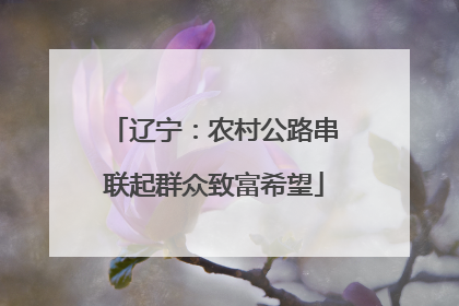 辽宁：农村公路串联起群众致富希望