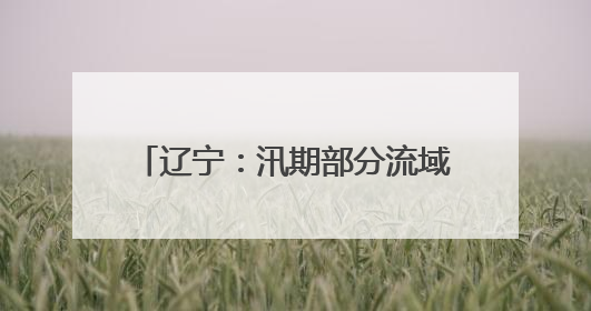 辽宁：汛期部分流域可能发生较大洪水