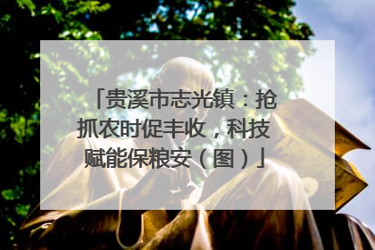 贵溪市志光镇：抢抓农时促丰收，科技赋能保粮安（图）