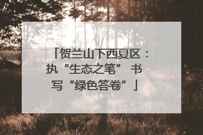 贺兰山下西夏区：执“生态之笔” 书写“绿色答卷”