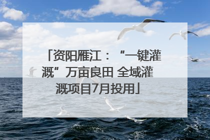 资阳雁江：“一键灌溉”万亩良田 全域灌溉项目7月投用